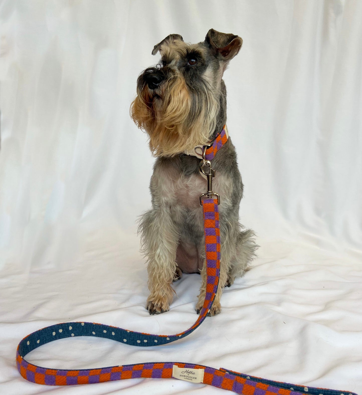 Charlie Checked Vintage Wool Dog Lead - Shruggler