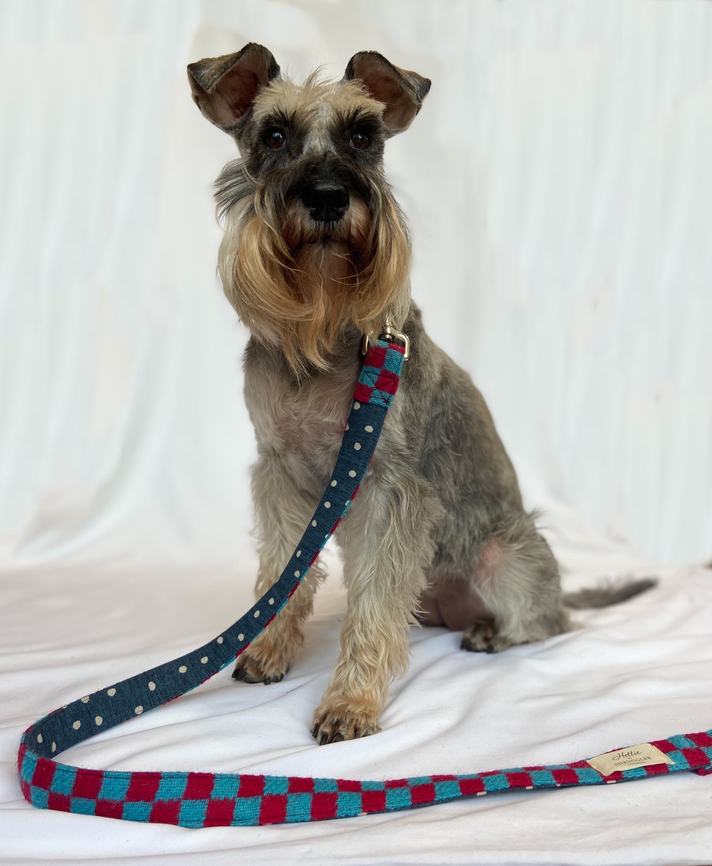 Charlie Checked Vintage Wool Dog Lead - Shruggler