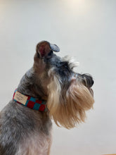 Load image into Gallery viewer, Charlie Checked Wool Dog Collar - Shruggler
