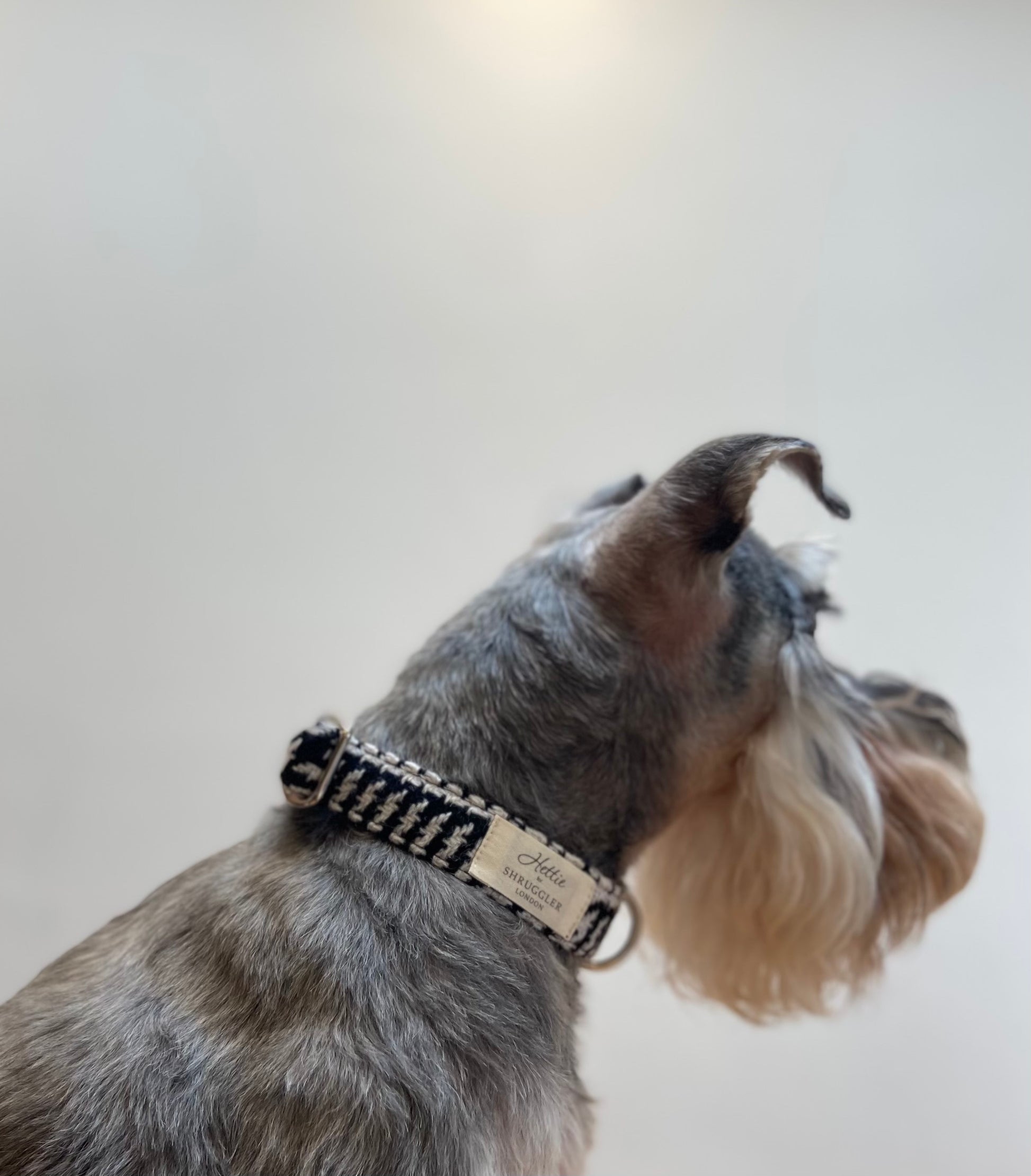 Charlie Checked Wool Dog Collar - Shruggler