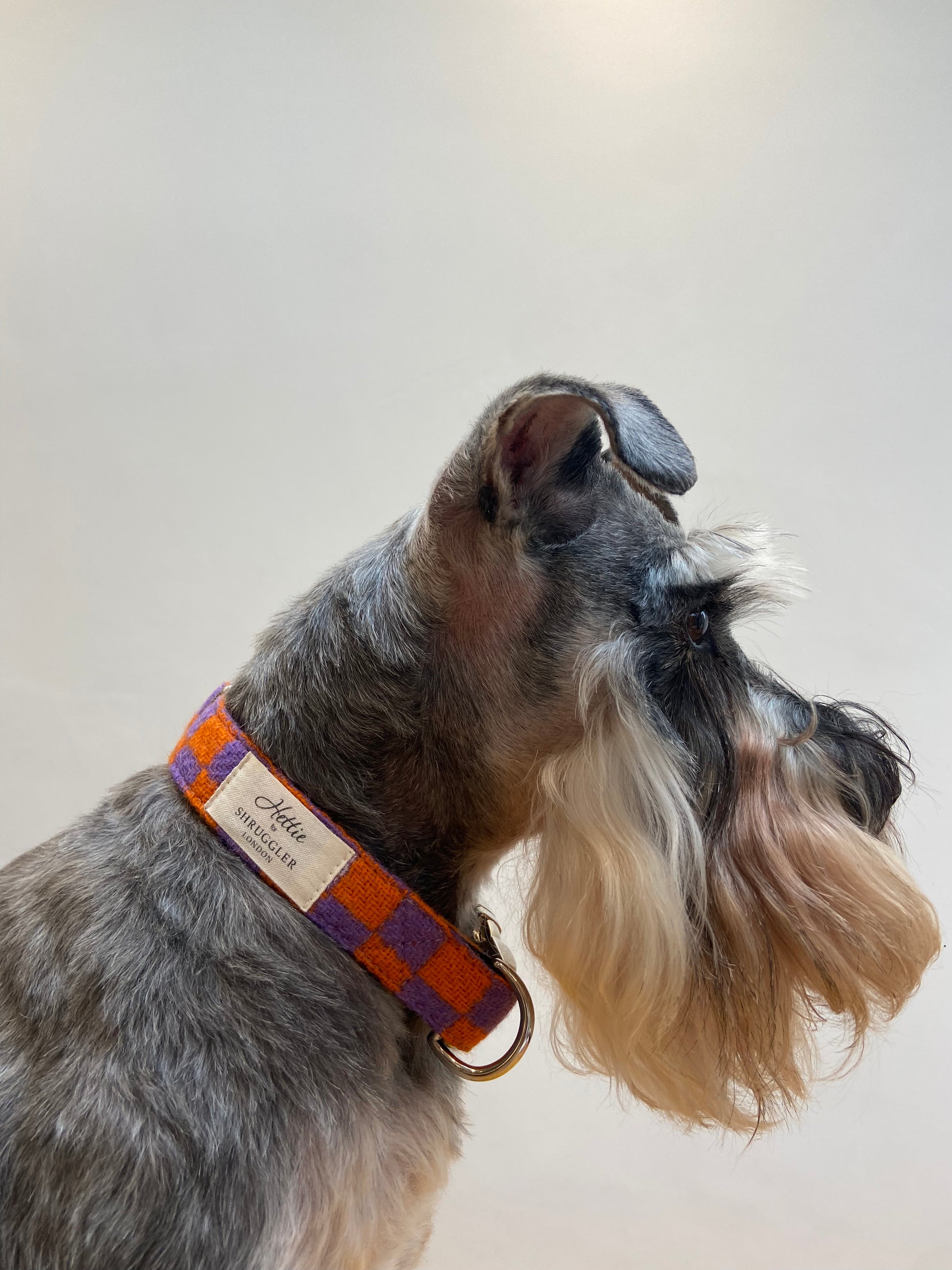 Charlie Checked Wool Dog Collar - Shruggler